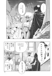 [Makoto Fujisaki] Dark Wirbel Vol 2