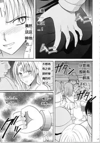 [Crimson Comics (Carmine)] Sephiria Hard Soushuuhen (Black Cat) [Chinese] [xyx1126个人汉化]