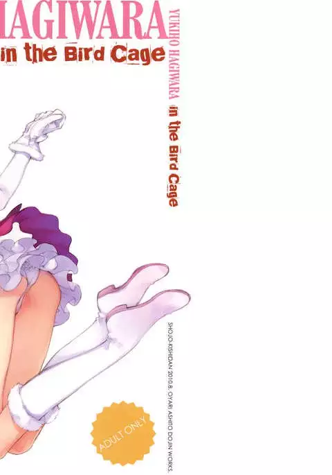 IDOLTIME SPECIAL BOOK YUKIHO HAGIWARA in the Bird Cage