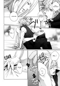 (C81) [nightflight (Yui)] Kioku no Niwa 2 | Garden of Memories 2 (Dissidia Final Fantasy) [English]