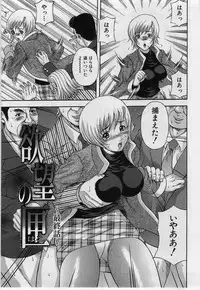 [Amano Hidemi] Yokubou no Hako - The Box of the Desire