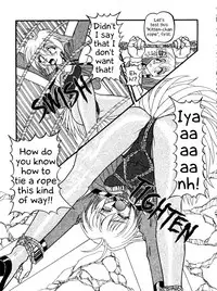 (C54) [Himawari Endan (Chunrouzan, Gakimagari)] BTB-23 DOUBLE INCOME (Lost Universe) [English] [EHCOVE]