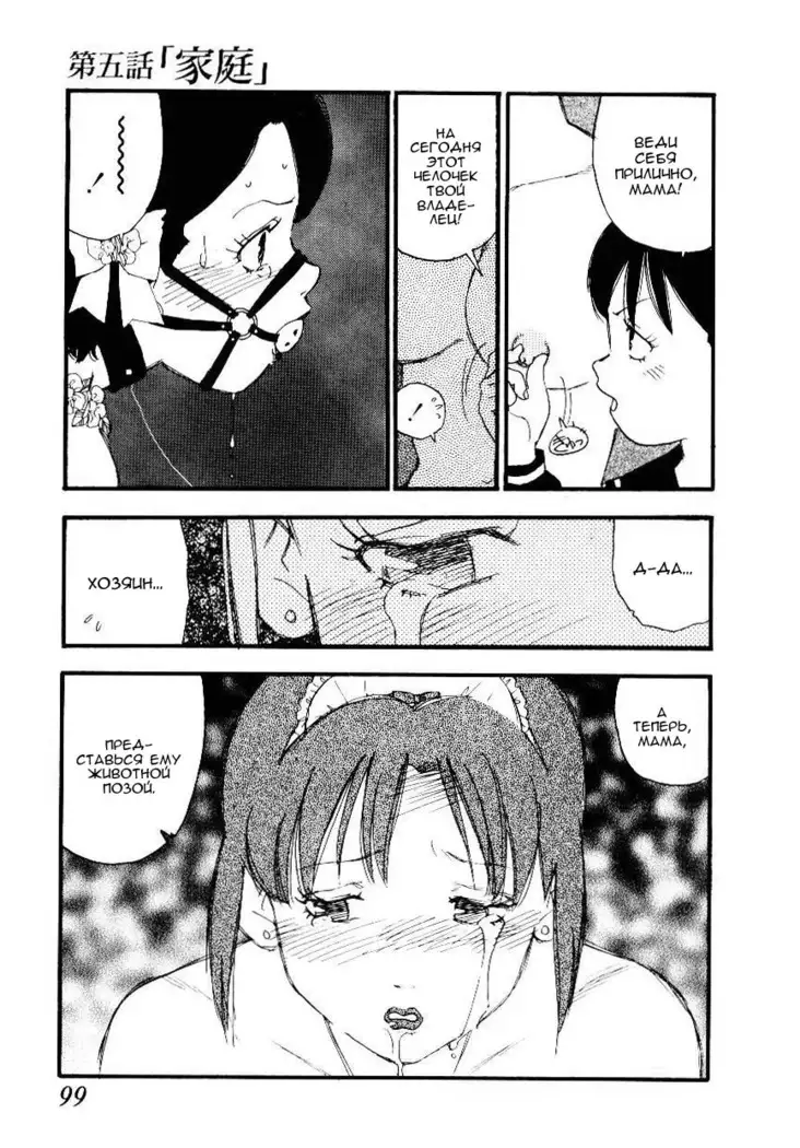 Volunteer Breeding Ch.5