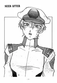 (C66) [Sangatsu no Lion (Don Shigeru)] SEED AFTER (Kidou Senshi Gundam SEED / Mobile Suit Gundam SEED)