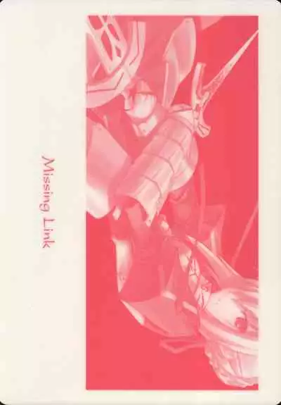 TYPEMOON Fan Art Book from Missing Link 2005