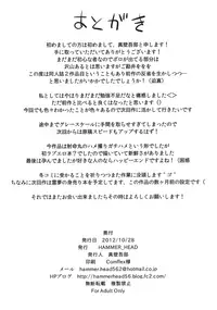 (SC57) [HAMMER_HEAD (Makabe Gorou)] Shameimaru Maruhi Tanbouroku (Touhou Project)