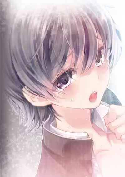 Mesu Ochi Danmen Sex | 雌堕断面sex