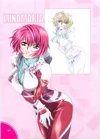 (C70)[Hen Rei Kai (Kawarajima Kou)] SEED ANOTHER CENTURY D.E. 2 (Gundam SEED Destiny)