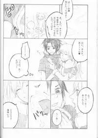 (C75) [Pierre (Garakuta Sochi)] Dream Passport (Naruto)