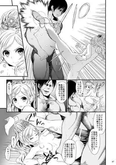 [Yamada Ichizoku. (Mokyu, Fukurokouji)] Seidorei Senki Soushuuhen (Go! Princess PreCure)