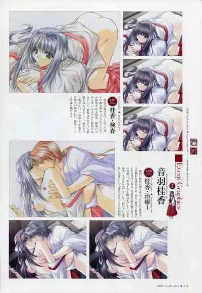 Natsukagura Visual Fan Book