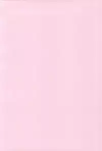 (SC62) [BERRY×BERRY (Pinkuru)] Some One One? (WORKING!!)