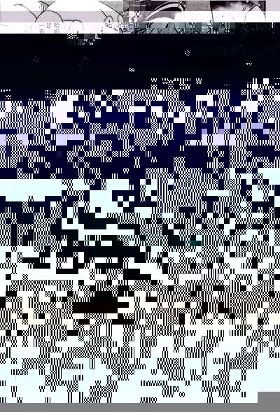 Fiji to Amaama Kekkon Zenya