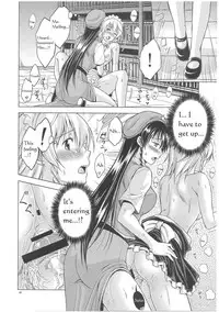 (C81) [Pigeon Blood (Asou Shin)] LOVE OR LUST (Touhou Project) [English]