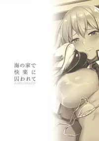 (C92) [Salt Choc (Naha 78)] Umi no Ie de Kairaku ni Torawarete (Kantai Collection -KanColle-)