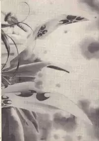 [Rocket Kyoudai (Rocket 1 Gou)] Shoujo A (Sakura Taisen)