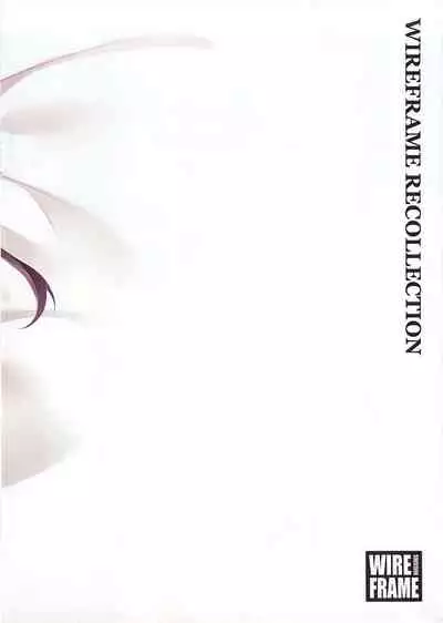 WIREFRAME RECOLLECTION