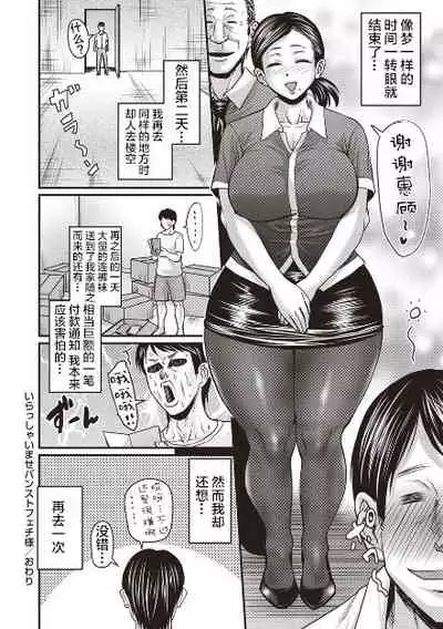 irassyai mase pansuto feti sama