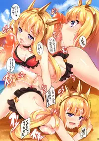 (C90) [SOTIKOTI (soramoti)] Danchou no Natsuyasumi (Granblue Fantasy)