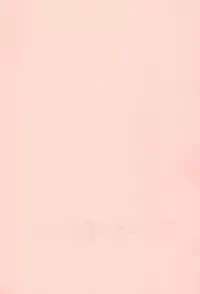 (Puniket 13) [Mayonnaise Bakufu (Sekihan)] Ma ni Awanakatta node Konna Hon Tsukutte Mimashita (Cardcaptor Sakura)