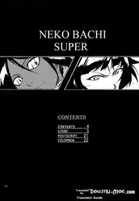 (C73) [Rabbit House (Akimoto Karma)] Neko Bachi Super (Bleach) [English] {doujin-moe.us}
