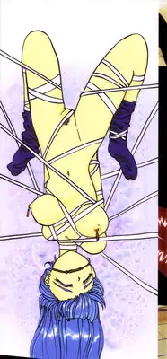 [Pegasus] Choukyou Princess