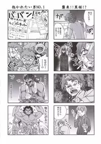 (MenComi35) [KABAYAKIYA (Unagimaru)] ENN (Fate/hollow ataraxia)