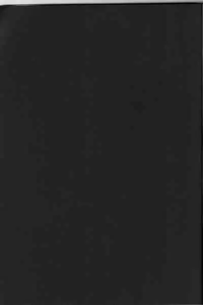 [Tonari no Yama (Yokoyama Kouji)] Django!!! (Mahou Shoujo Lyrical Nanoha)