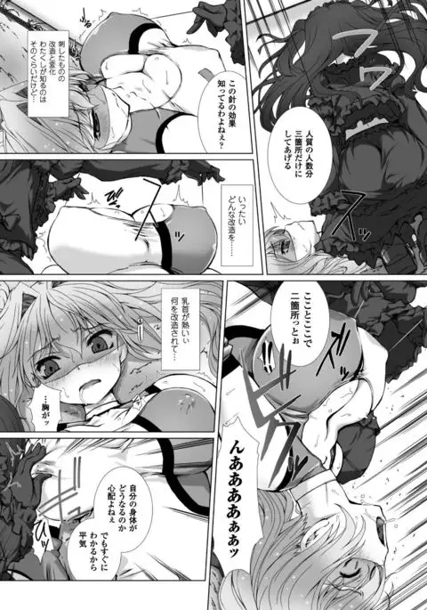 Seigi no Heroine Kangoku File Vol. 15