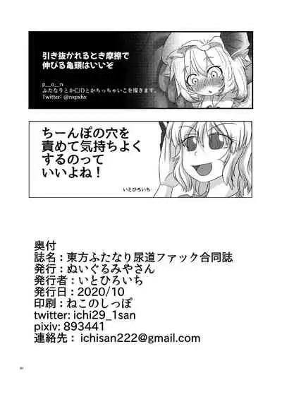 [Nuigurumiya-san (Various)] Touhou Futanari Nyoudou Fuck Goudoushi (Touhou Project) [Digital]