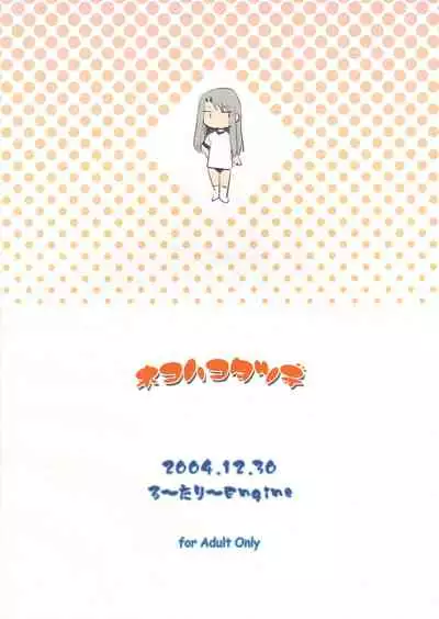 (C67) [Rotary Engine (Kannazuki Motofumi)] Neko Wa Kotatsu De | The Cat in the Kotatsu (Fate/stay night) [English] [Panatical]