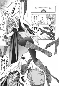 [Nyanko MIC] Chiccha na Hiketsu