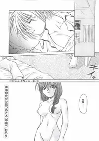 [Shizaki Masayuki] Abyssinian