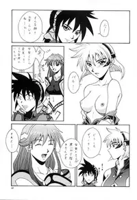 (C61) [BREEZE (Haioku)] R25 Vol.5 V.D.S (Vandread)