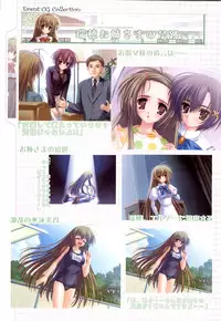 Otome wa boku ni koi shiteru Visual Fanbook (Otoboku)