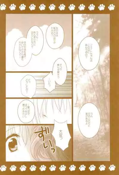 (C89) [Ameiro (Nanashiki)] Love Life -NanoFei nano Sairoku-shuu 3- (Mahou Shoujo Lyrical Nanoha)