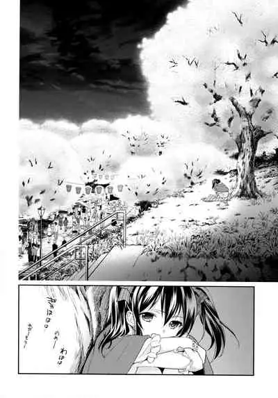 NICO & MAKI COLLECTION 3