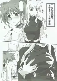 (C93) [STROLL IN THE WOODS !! (ELF)] Honpen no Sukima no Ohanashi o Kangaete Mita. (Mahou Shoujo Lyrical Nanoha)