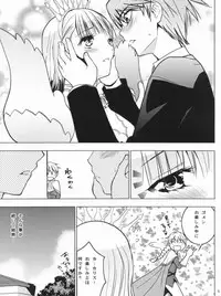 (SC54) [Donzoko Kashiwa Meshi (Mask the J)] HIMESAMA TO 2 (Shining Force)