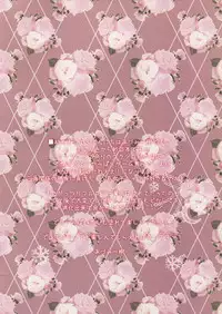 (Mimiket 27) [Come Through (Adumi Kazuki)] Sana to Nyan Nyan (Mashiro-Iro Symphony)