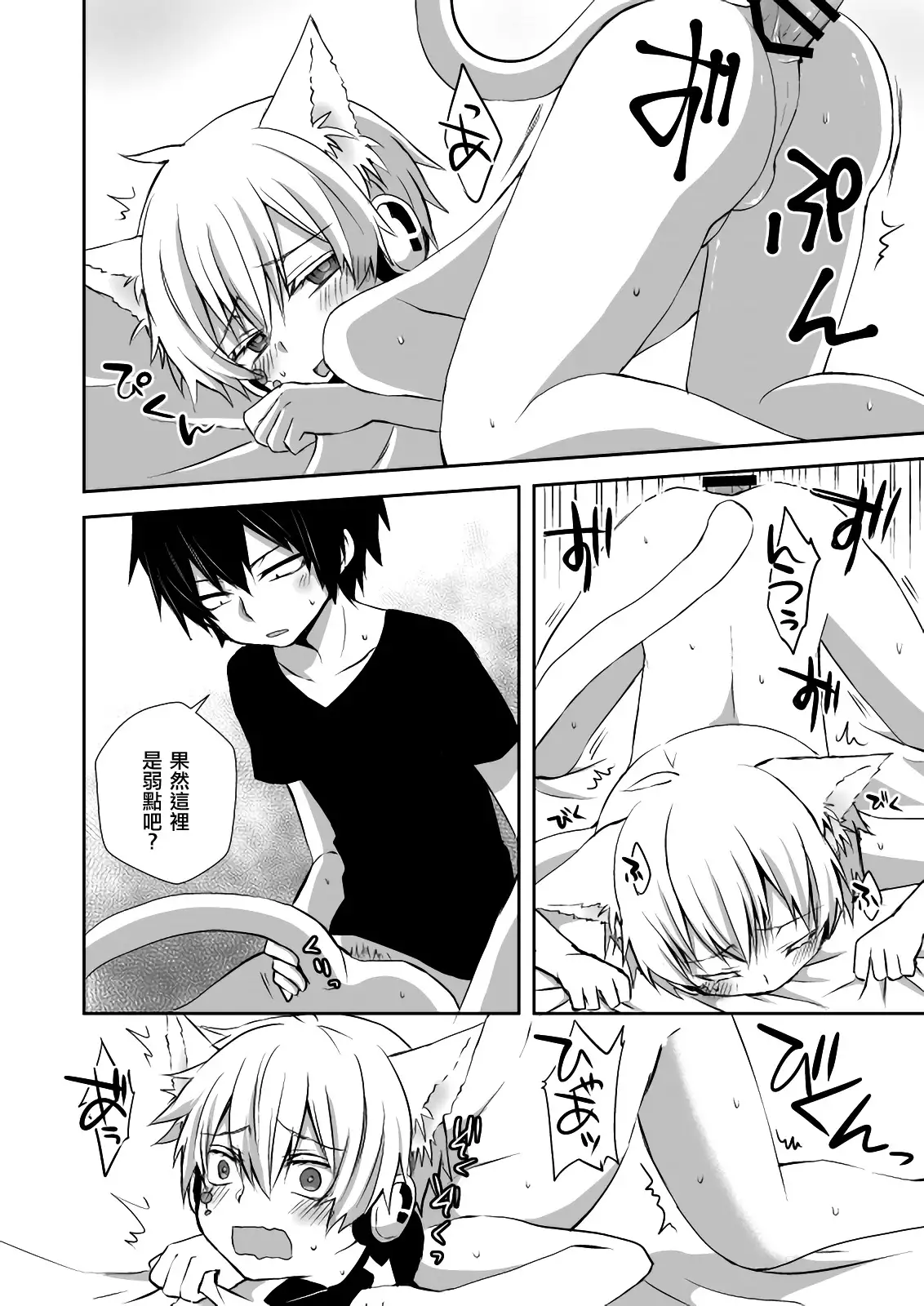 Neko Konoha no Jijiou