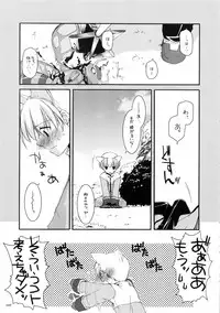 (C66) [Digital Lover (Nakajima Yuka)] DL-RO Soushuuhen 01 (Ragnarok Online)