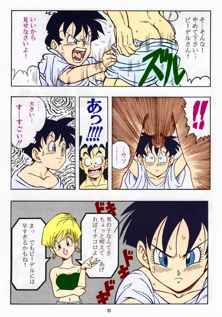 DRAGONBALL H Bessatsu Soushuuhen