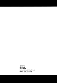 (COMIC1☆3) [Kyomu no Uta (Satou Toshio)] Mou Hitotsu no Touchou (Tower of Druaga)