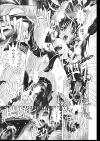 [NINE TAIL (GRIFON)] COLLECTERS (Ragnarok Online)