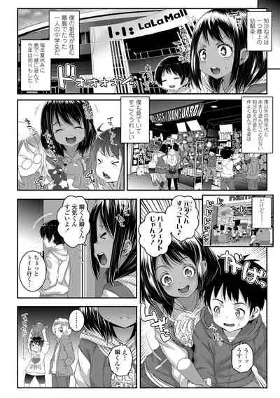 Soutaisei Virgin Theory