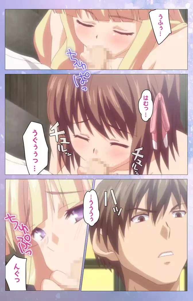 Hakoiri Shoujo -Virgin Territory- Complete ban