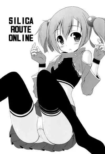 Silica Route Online