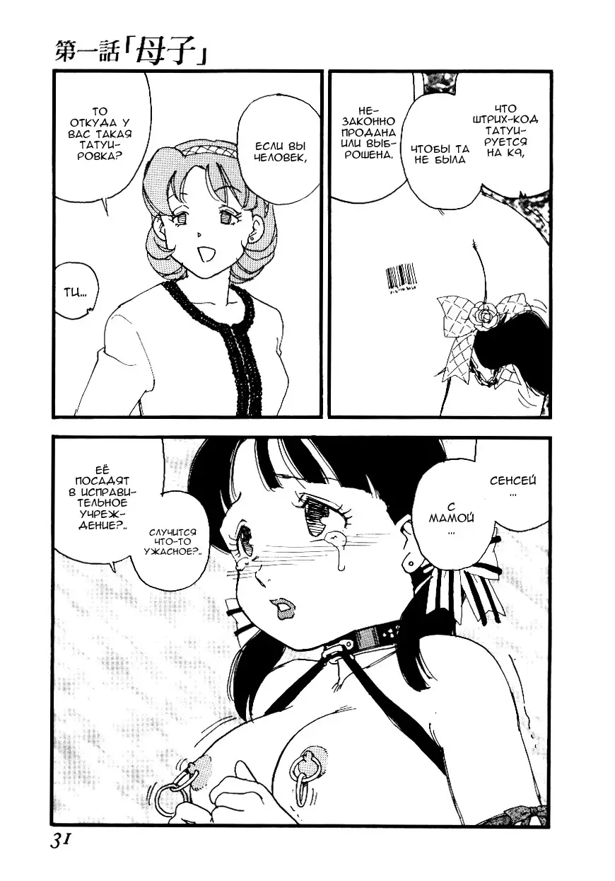 Volunteer Breeding Ch.1