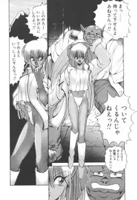 [Makoto Fujisaki] Dark Wirbel Vol 2